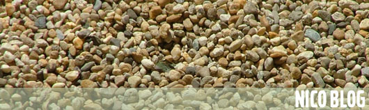 Anteprima - Clicca per ingrandire