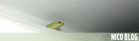 Anteprima - Clicca per ingrandire