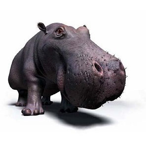 Anteprima - Clicca per ingrandire