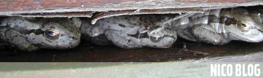 Anteprima - Clicca per ingrandire